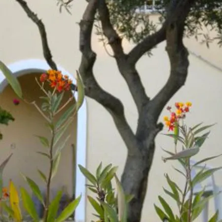 Natalia B With Panoramic Sea Views Of Agios Gordios Bay *