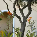 Natalia B With Panoramic Sea Views Of Agios Gordios Bay *